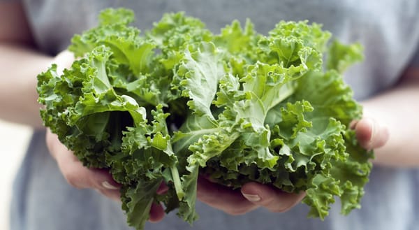 Handfuls of curly kale