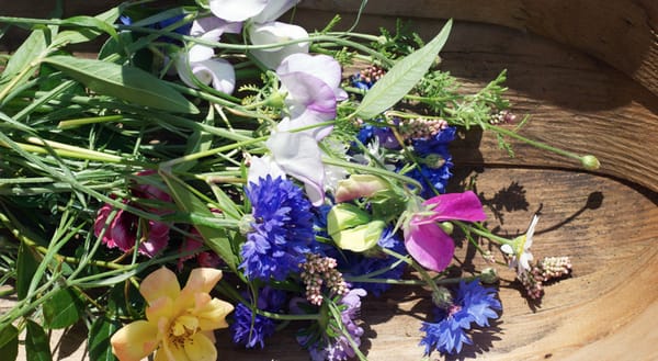 Cut flowers in my trug