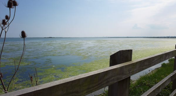 Portsmouth coastline