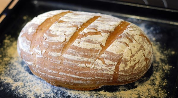 Freshly baked bread