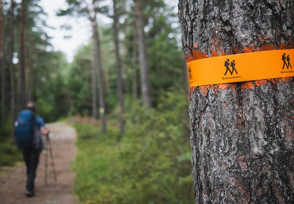 Trail marker on tree