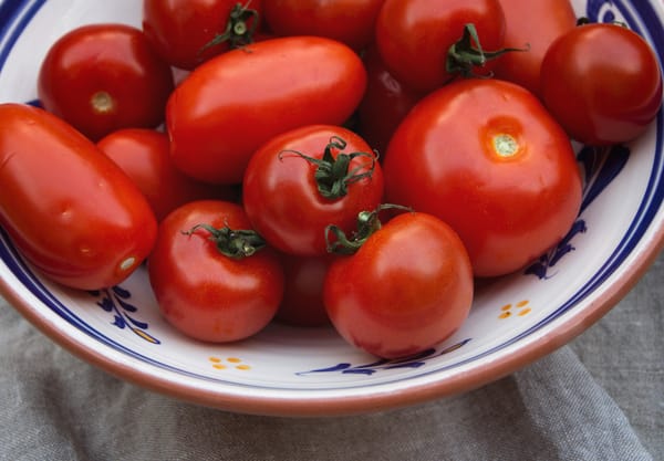Tomatoes in a bowl