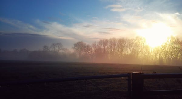 Sunrise over fields