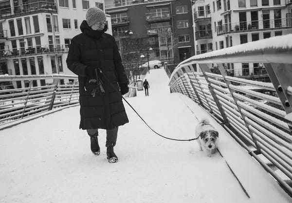 Woman walking dog in the snow