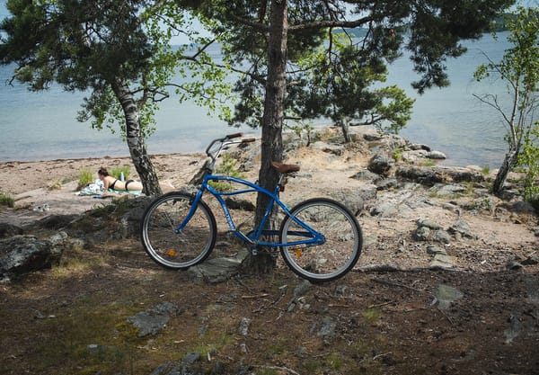 Bike resting on tree