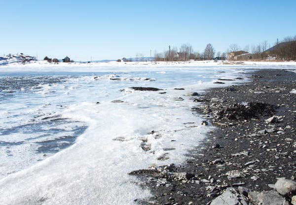 Frozen shoreline
