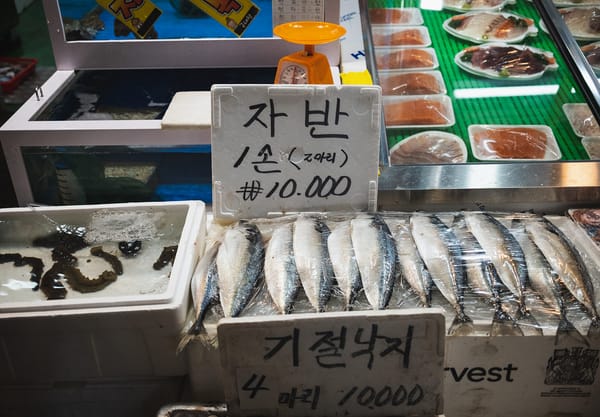 Fish laid in a line
