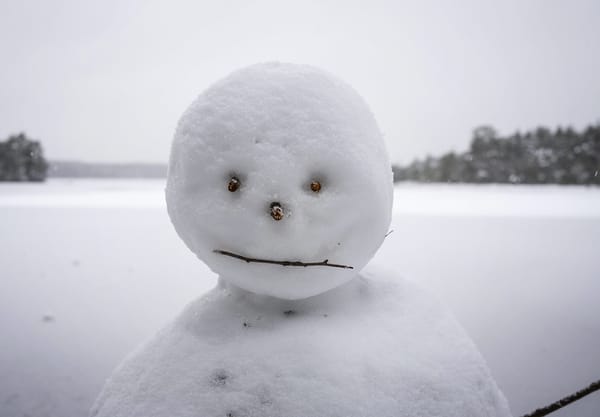Snowman face