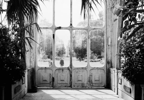 Sun shining through doors