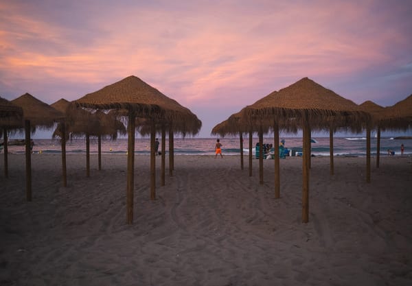 Umbrellas on a beach at sunset