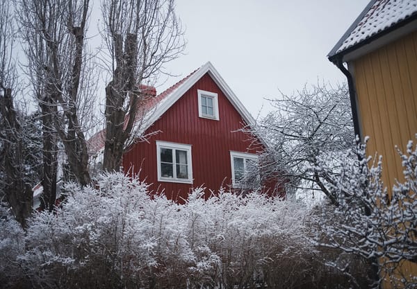 Wooden house surrounded by snowy trees