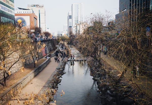 View down a river