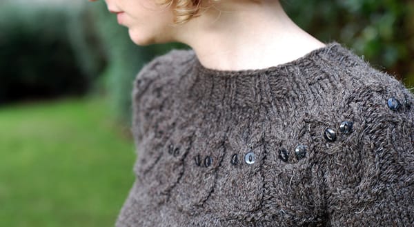 Neck view of owl jumper