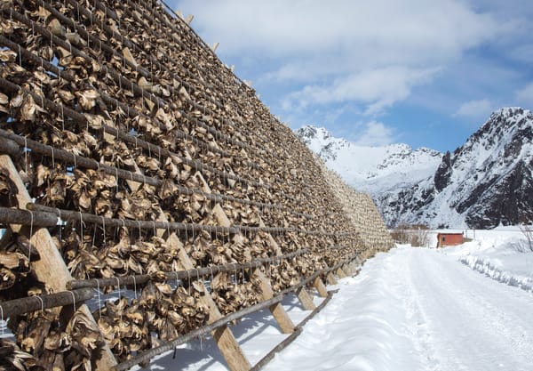 Side view stockfish frames