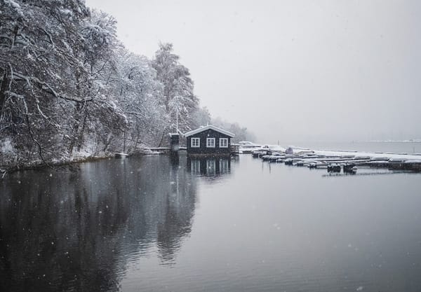 Wooden building in the snow