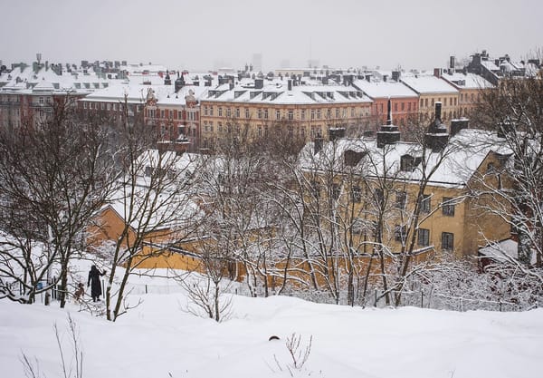 Snow covered rooftops